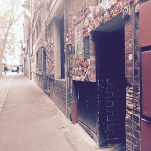 Meet your Posher, Reyna